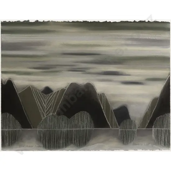 Marilynn Webb - Going Through Fiordland