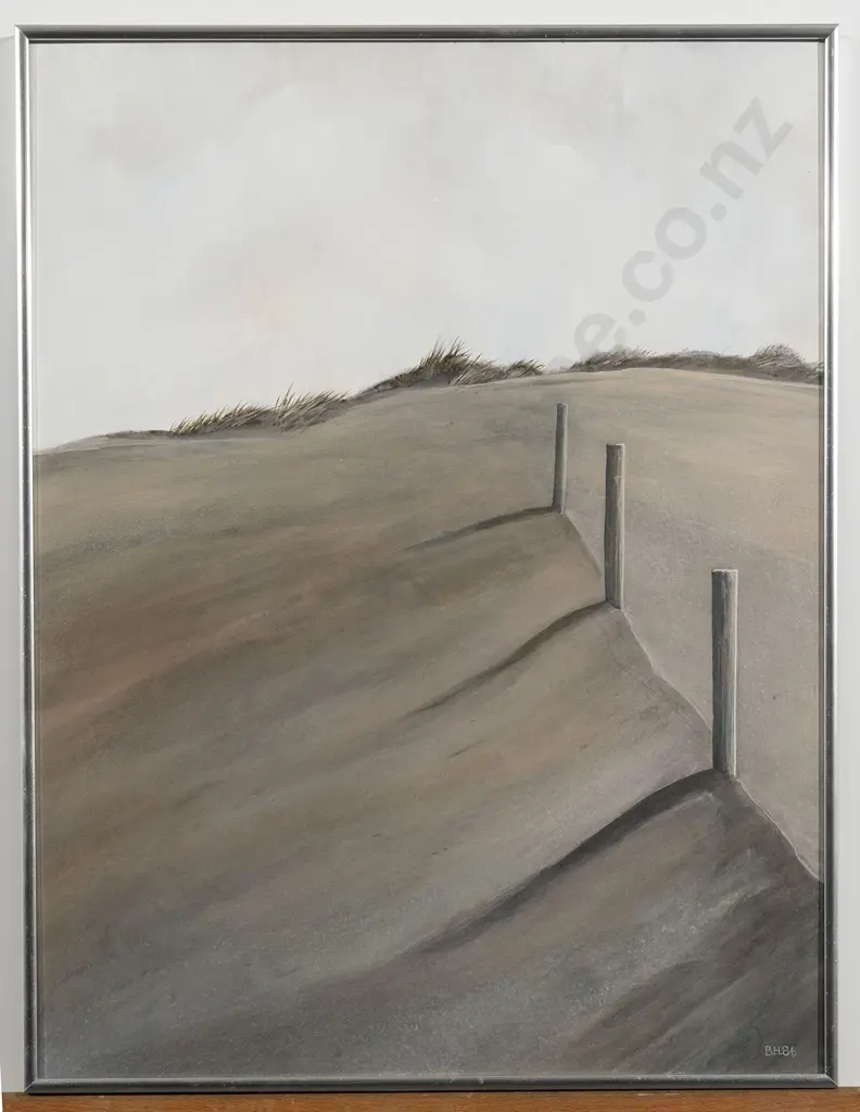 Bruce Hunt - Patea Beach Image 1++