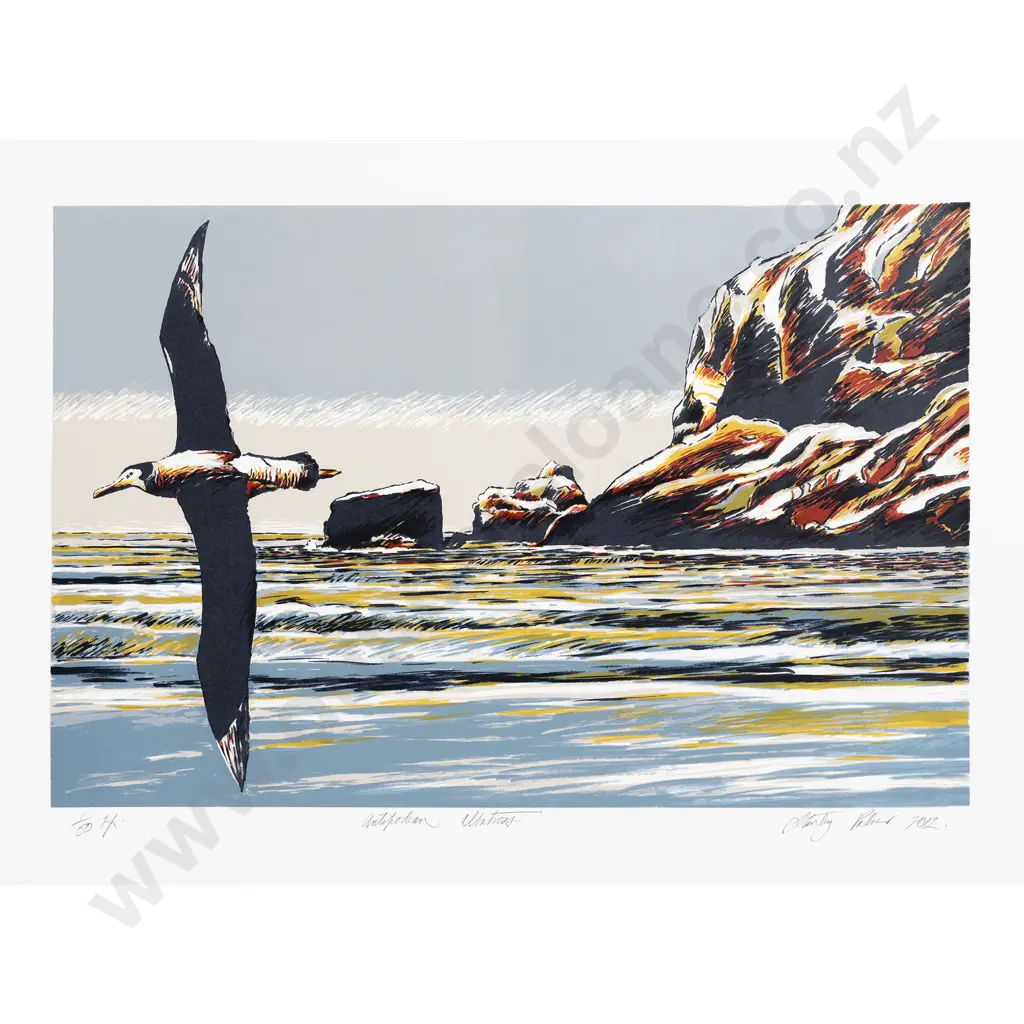 Stanley Palmer - Antipodean Albatross Image 1++