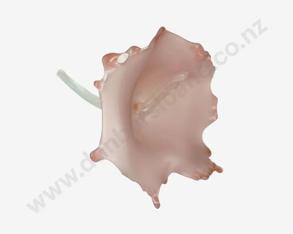 Ann Robinson Hand Blown Glass Flower Image 1++