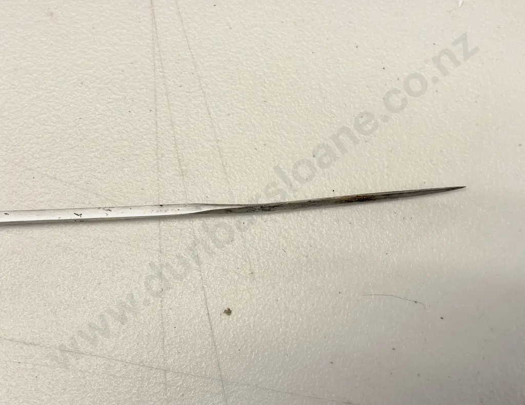 Antique Anglo-Indian Sword Stick Image 1++