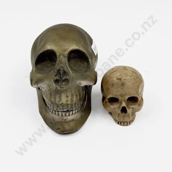 Brass Skull and Other Skull