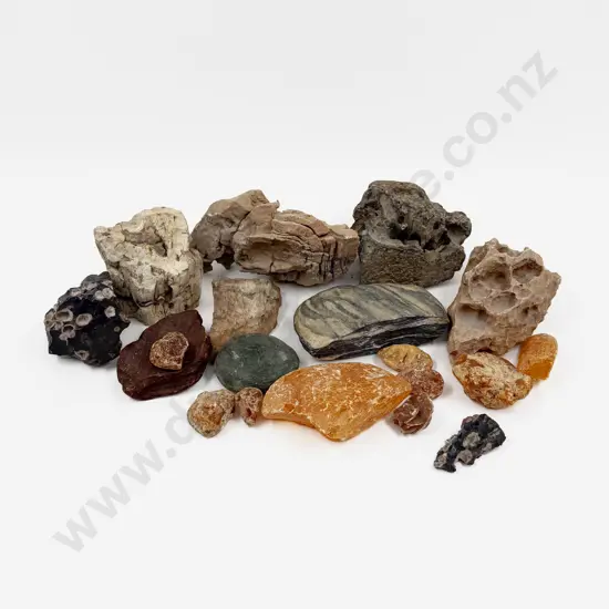 Qty of Assorted Geological Samples including Kauri Gum