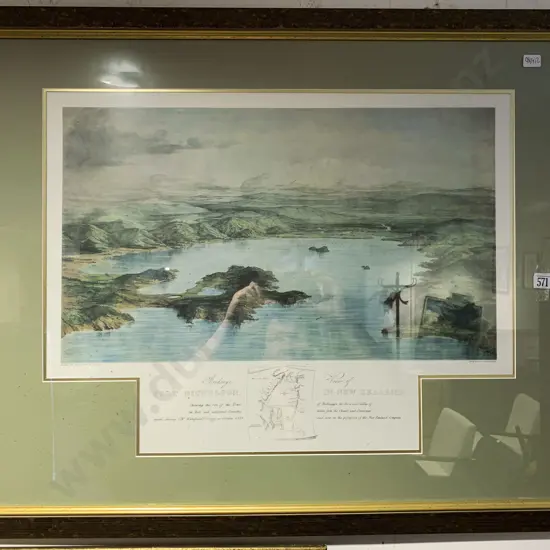 Birds Eye View of Port Nicholson in New Zealand Print