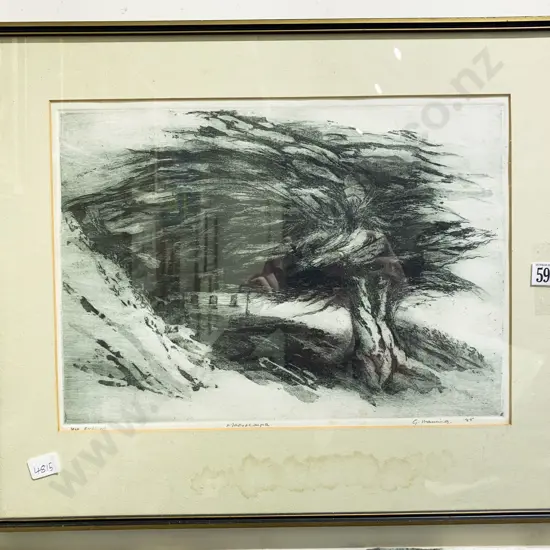 G. Manning - Macrocarpa - Etching