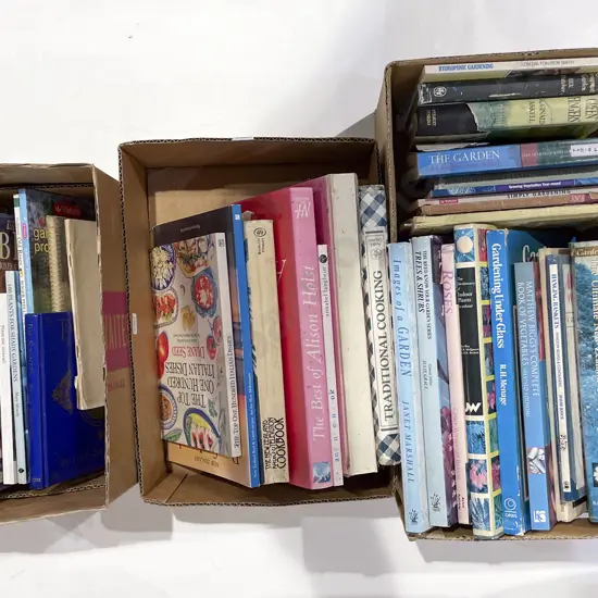 Three Boxes of Assorted Books