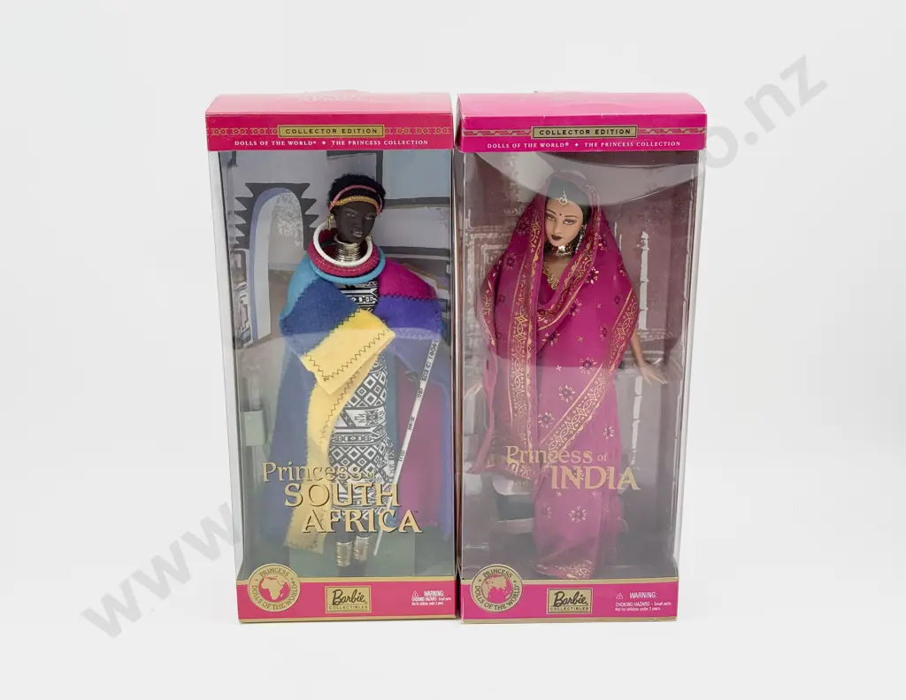 C2000 Barbie Princess of India and C2002 Princess of South Africa Dolls of the World Edition MIB Image 1++