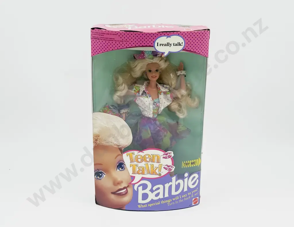 C1991 Teen Talk Barbie MIB Image 1++