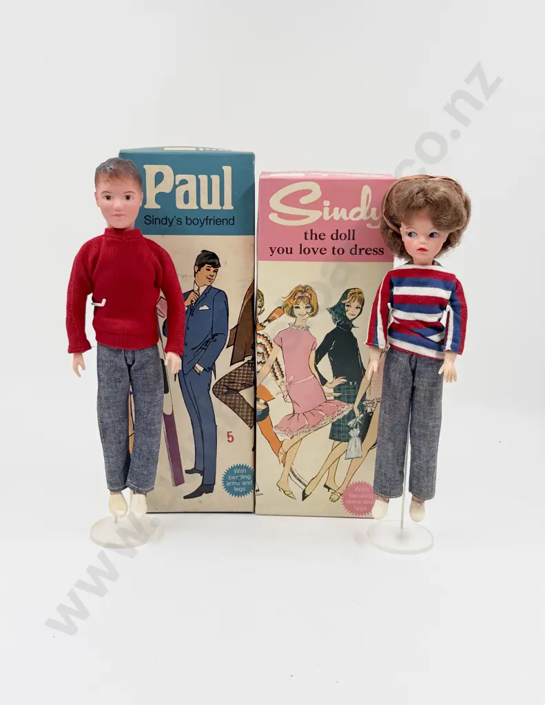 Boxed C1960's Pedigree Auburn Sindy and Paul Image 1++