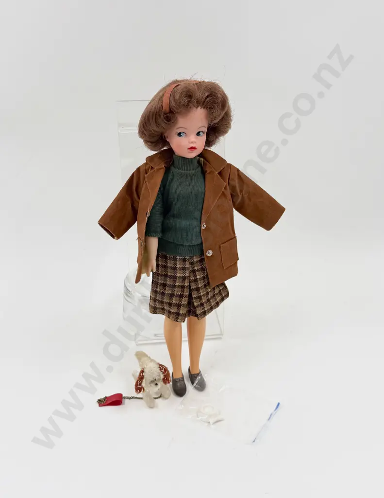 C1960's Sindy wearing Country Walk complete with Dog Ringo Image 1++