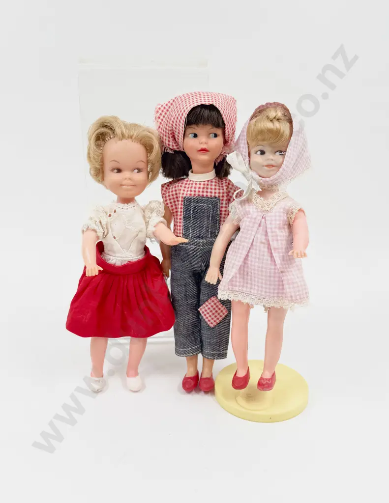 C1966 Patch in Dungarees with Tuppence x2 Original Outfit and 3pce Pink Gingham Image 1++