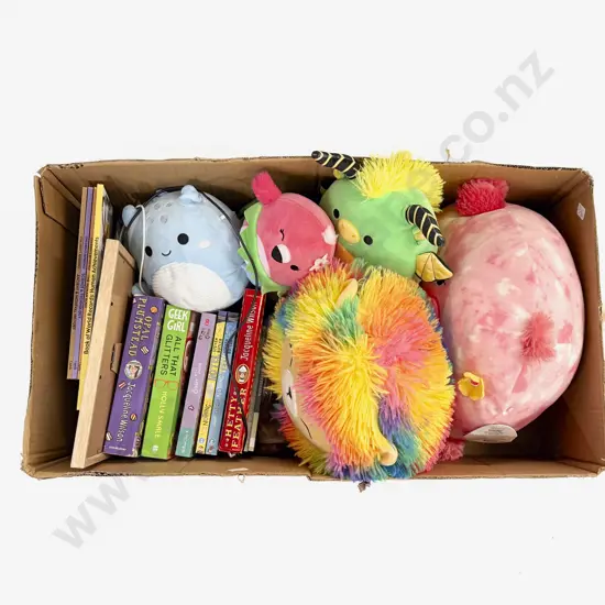 Collection of Squishmallows and Books etc