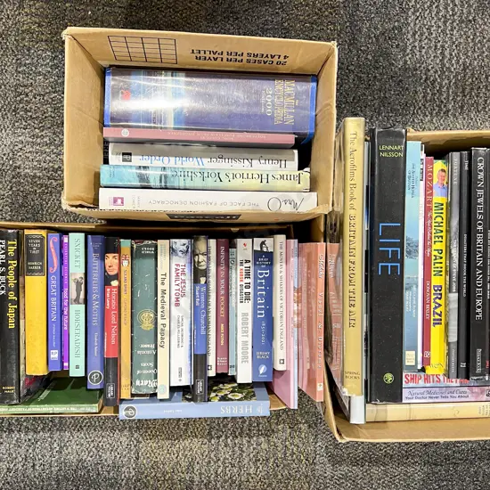 Three Boxes of Assorted Books