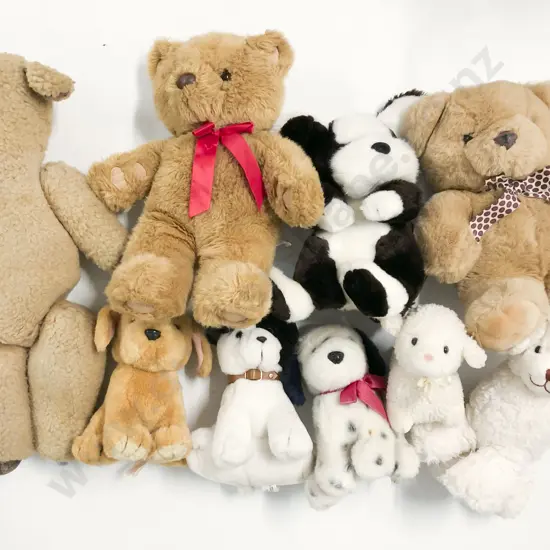 Collection Teddy Bears and Soft Toys