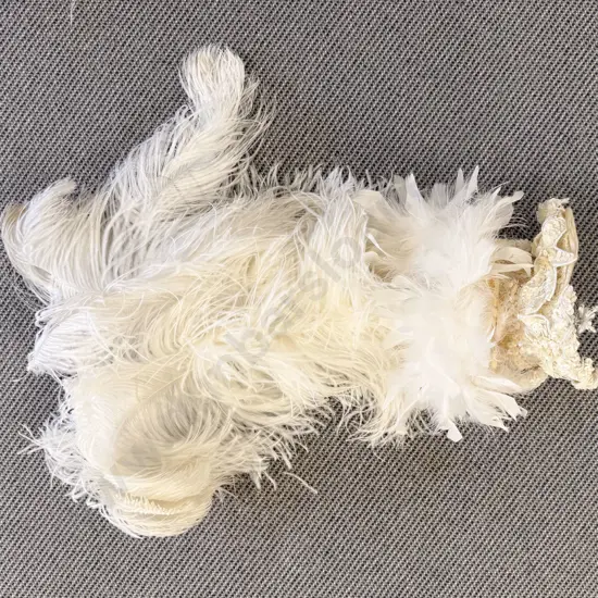 Vintage Ostrich Feather Show Girl Headress