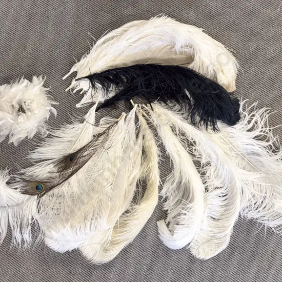 Quantity White & Black Ostrich Feathers