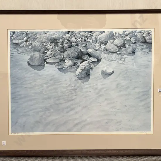 Raymond Ching - Plover Chicks - Signed Ltd Ed Print 158/500