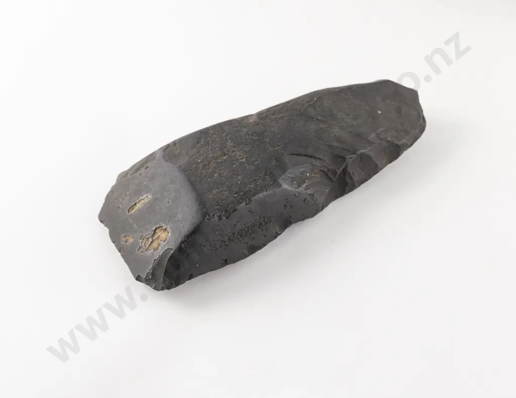 Pre-European Toki Image 1++