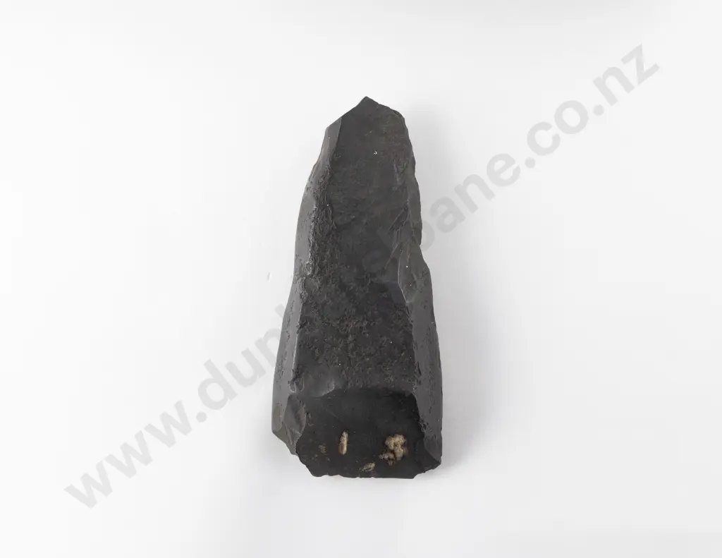 Pre-European Toki Image 1++