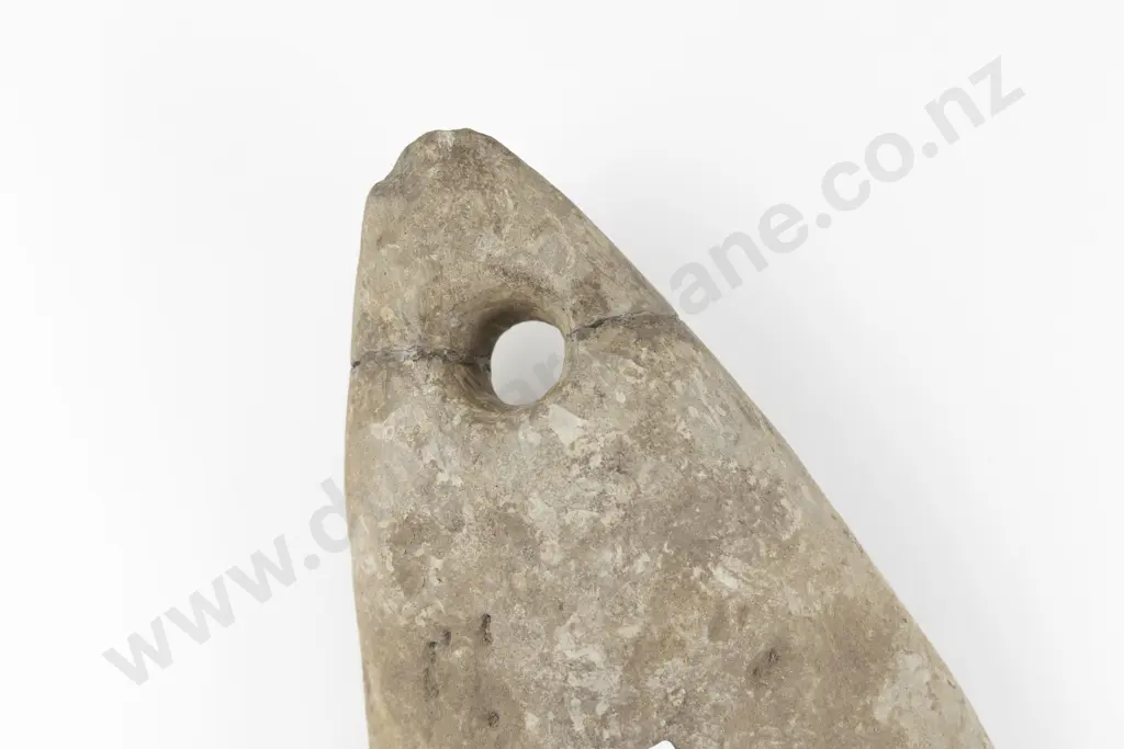 Punga (Anchor) of Long Rounded Form Image 1++