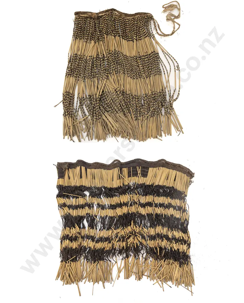 Two piupiu Image 1++