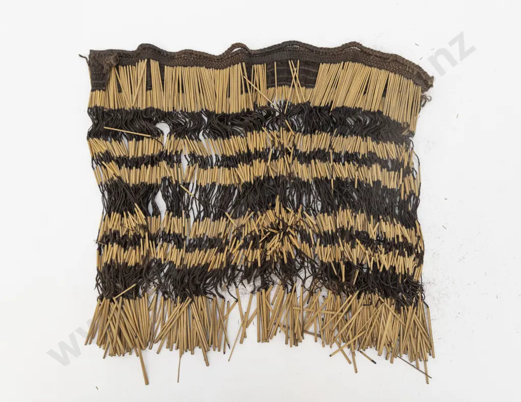 Two piupiu Image 1++