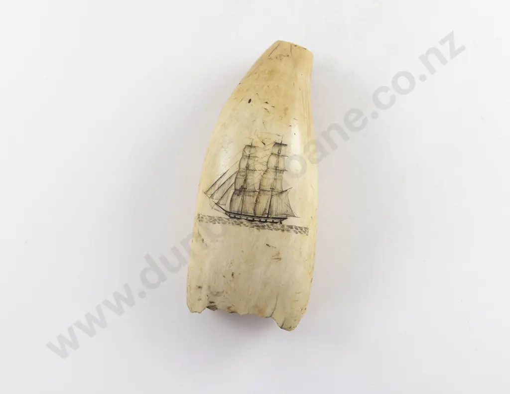 C19th Large Scrimshaw Whale Tooth Image 1++