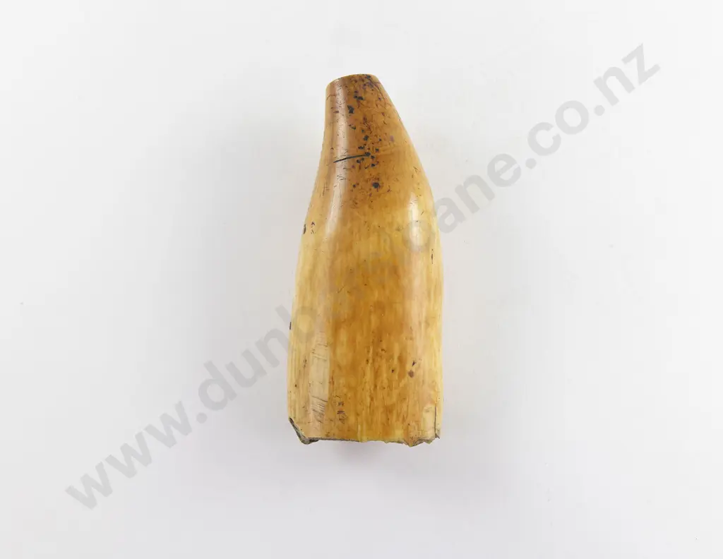 C19th Large Scrimshaw Whale Tooth Image 1++