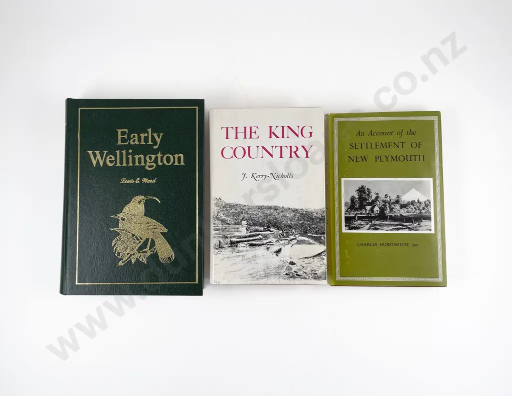 3 NZ Topographical Volumes Image 1++