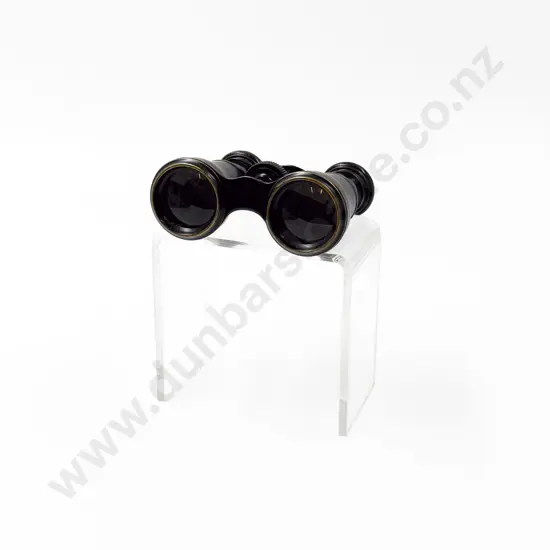 Small Pair of Vintage Binoculars