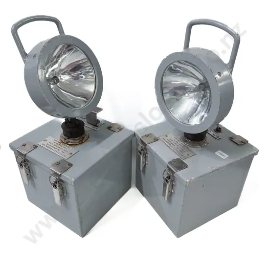 Pair Portable Flood Lights