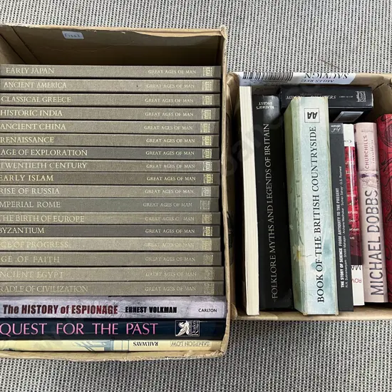 Two Boxes of Assorted Books