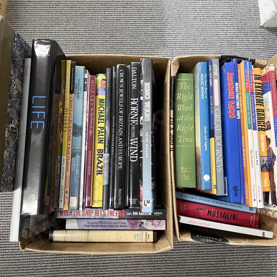 Two Boxes of Assorted Books