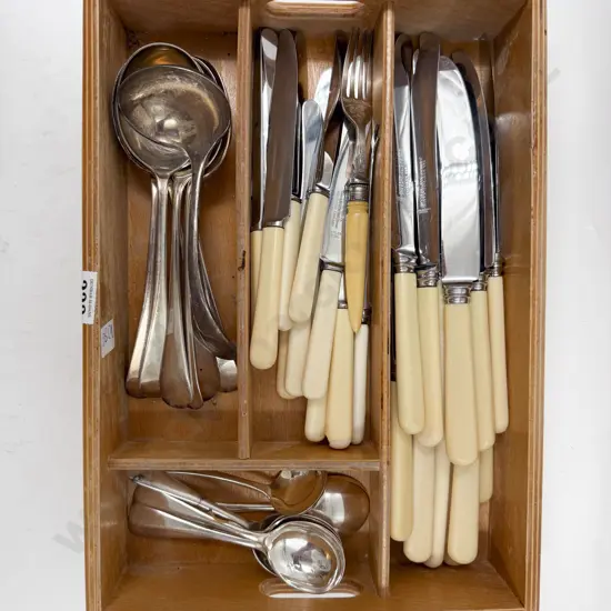 Box of Assorted Cutlery incl Bone Handled Knives