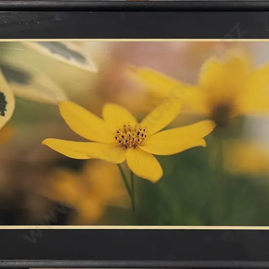 Two J.L. Fairbairn Photographic Prints