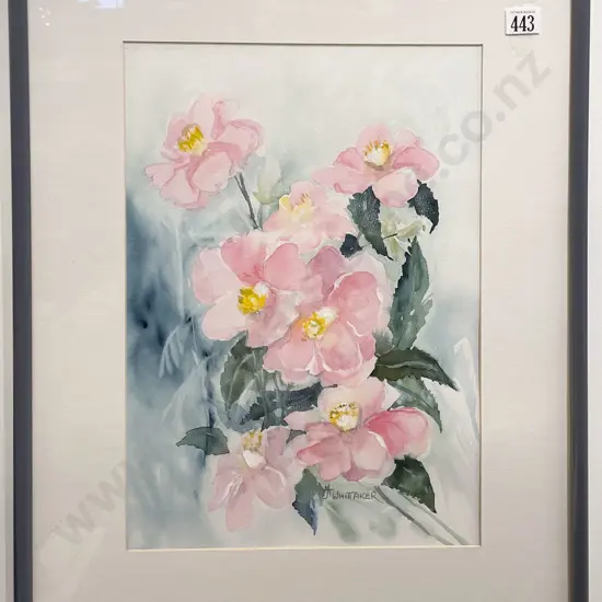 A. Whittaker - Camellias - Watercolour
