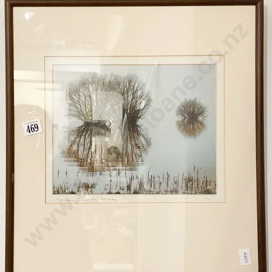 Unknown - Willow Clumps Tekapo - Photographic Print