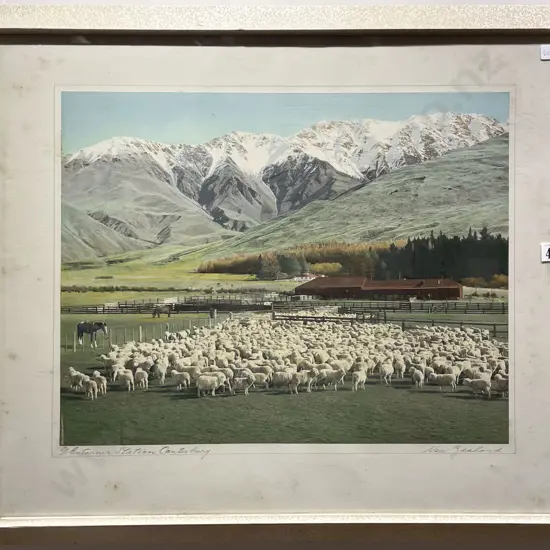 Hand Coloured Photograph Glen Tanner Station Canterbury