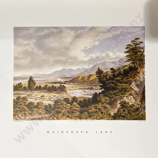 NZ Graphic and Descriptive