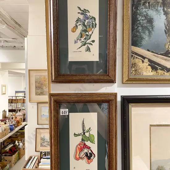 Pair of Oak Framed Botanical Studies