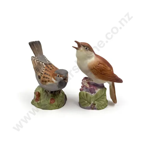 Two Royal Worcester Bird Ornaments