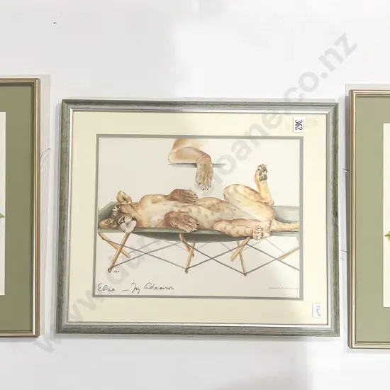 Two Framed Botanical Studies together with Other