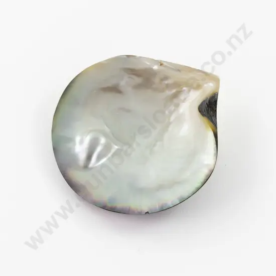 Mabe Blister Pearl and Black Cultured Pearl Shell