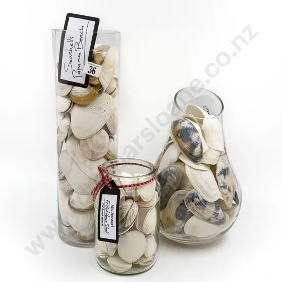 Three Jars of Assorted Seashells