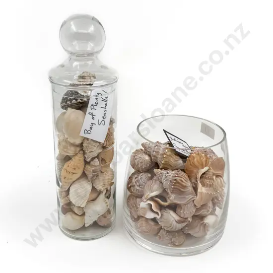 Two Jars of Assorted Seashells