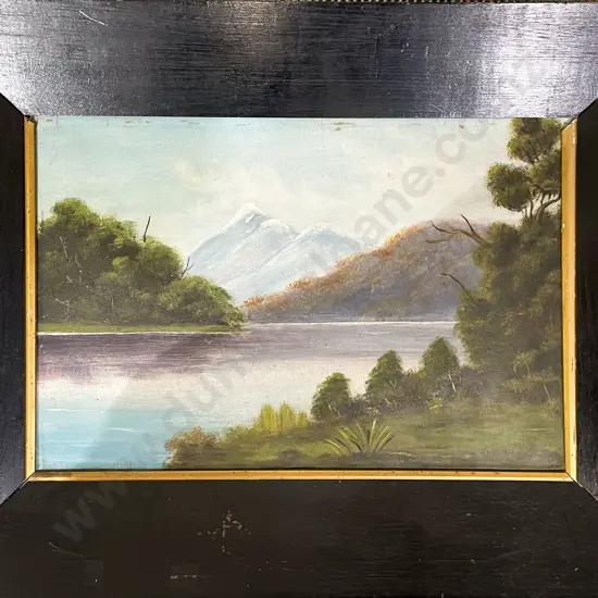 Paul W. - NZ Landscape - Oil on Board - A/F