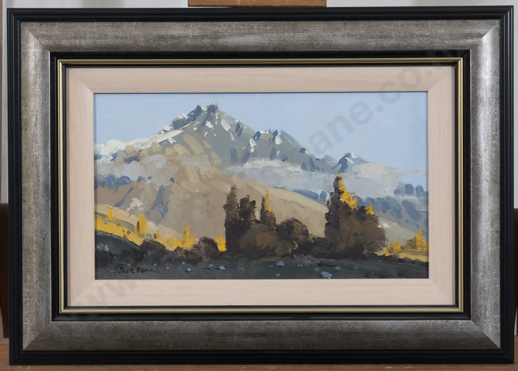 Peter Beadle - Evening - Remarkables from Kaweru Image 1++