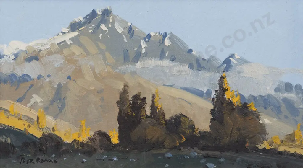Peter Beadle - Evening - Remarkables from Kaweru Image 1++