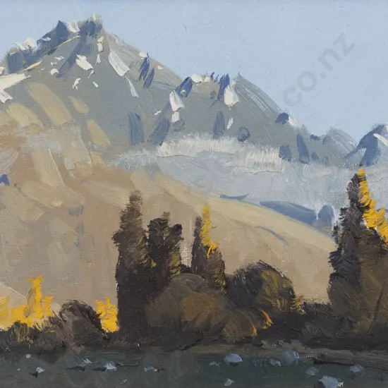 Peter Beadle - Evening - Remarkables from Kaweru