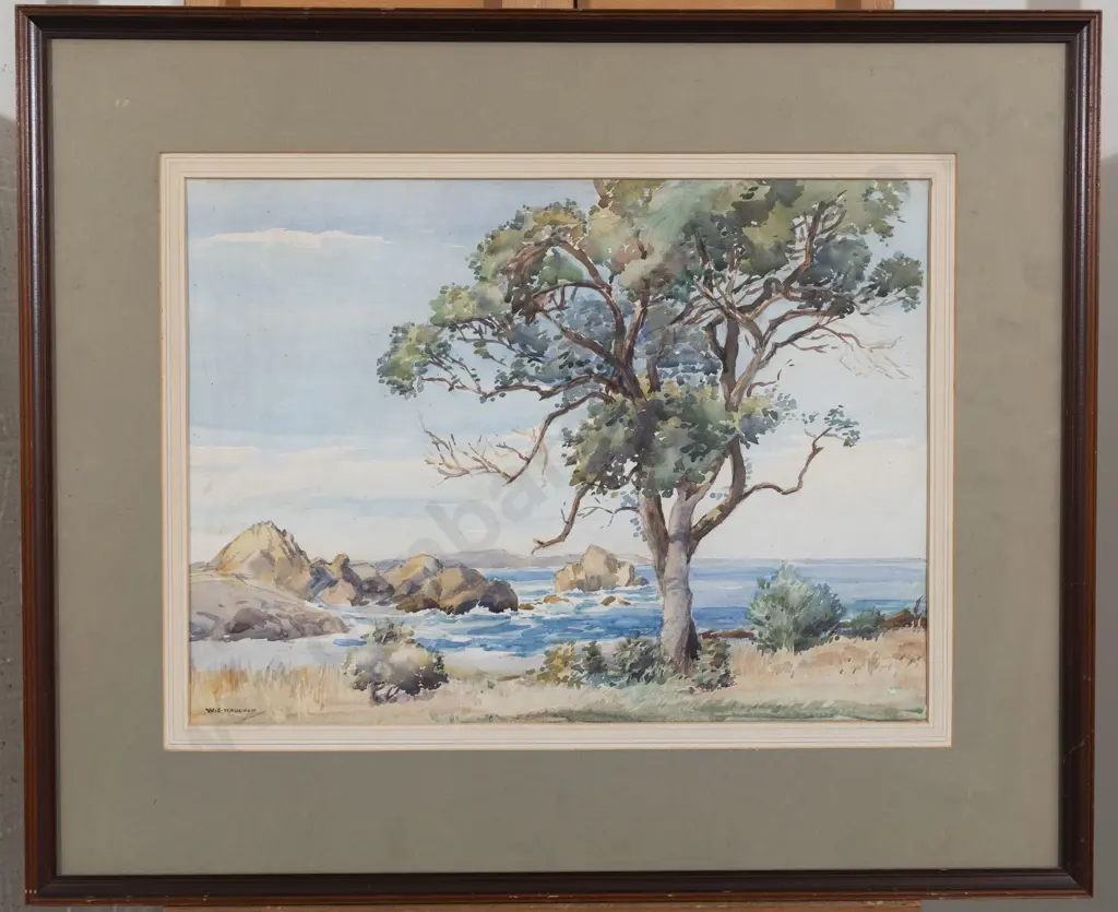 W S Wauchop - Goose Bay Kaikoura Image 1++